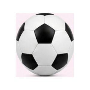 Sports & Fitness